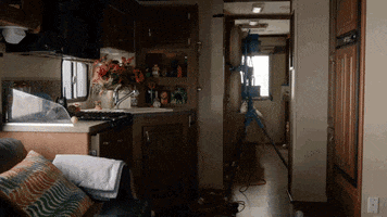 will forte tandy GIF by The Last Man On Earth