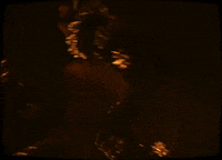 rosalia rosalia milionaria fucking money man dios nos libre del dinero GIF