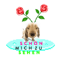 schoenmichzusehen love Sticker by MC Fitti
