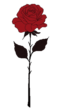 Summer Flower Sticker