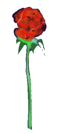 Flower Rose Sticker