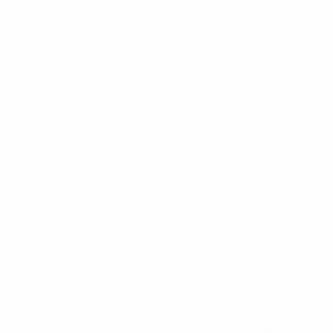 Summer Camp GIF by ACANewEngland