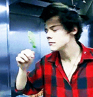one direction 1d GIF