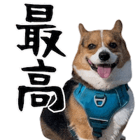 Corgi Wow Sticker