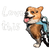Corgi Love Sticker