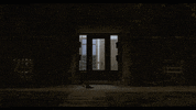 Music Video Owen GIF by Polyvinyl Records