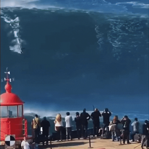gigantes_de_nazare giphyupload surf nazare gigantes GIF