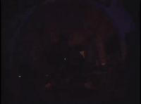 Living Room Chicago GIF by Polyvinyl Records