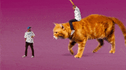 tamale GIF by Tyler, the Creator