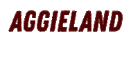 Texas Am Home Sticker by Texas A&M University