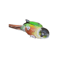 Couch Potato Sticker