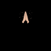 TribuYogaApp somostribu tribuyogaapp tribuyoga GIF