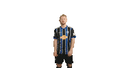 svwaldhofmannheim swipe up fussball jubel tor Sticker