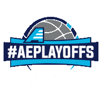 Basketball Aehoops Sticker by America East