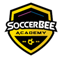 SoccerBEEMty soccerbee Sticker