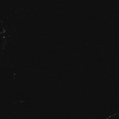 Halloween Night GIF by audiochuck