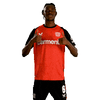 Bayer 04 Love Sticker by Bayer 04 Leverkusen