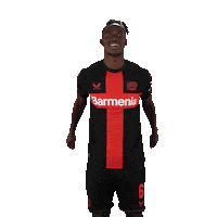 Hype Up Lets Go Sticker by Bayer 04 Leverkusen