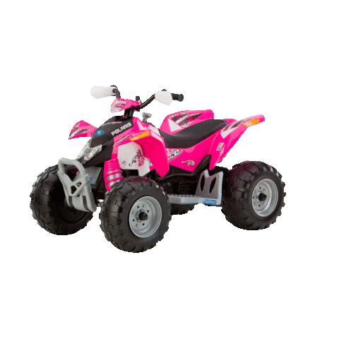 Happy Fun Sticker by Peg Perego