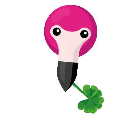 Fun Ireland Sticker by lastminute.com