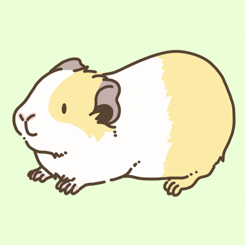 Teeth Licht GIF