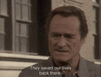 Saved Our Lives GIF by Goldmaster