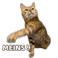 Give Me Funny Cat Sticker by Kitty Fuchs