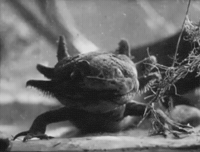 Creature Salamander GIF by tylaum