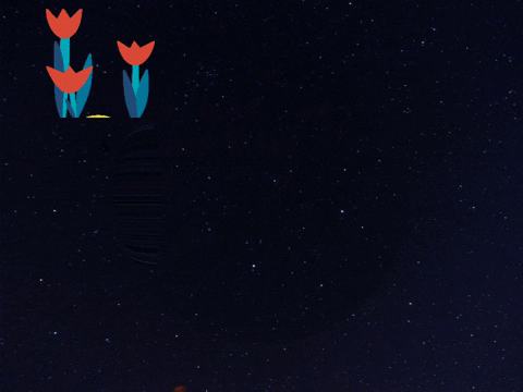 Germany Wow GIF by FranchiseCHECK.de