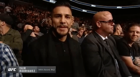 ufc mma GIF
