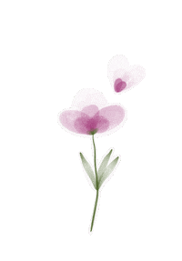mila_neus pink flowers цветок розовый Sticker