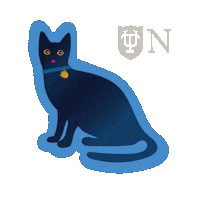Cats Sticker by Newcomb Institute