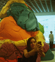 jeff koons selfie GIF by Christina Lu