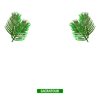 Terra Santa Jesus Sticker by Sacratour