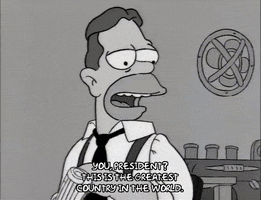 homer simpson episode 10 GIF