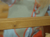 santa claus office christmas GIF by The Elves!