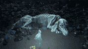 Walking Death GIF by Xbox