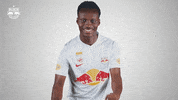 Football Sport GIF by FC Red Bull Salzburg
