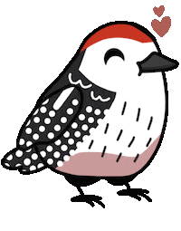 Bird Vogel Sticker by mahoniemoni