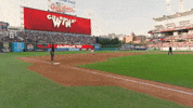 Celebrate Home Run GIF by MLB