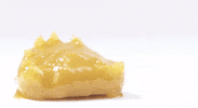 GIF by PharmaCann