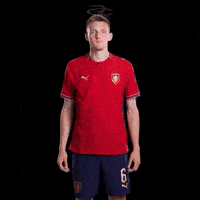 Fifa World Cup Uefa GIF by Respective