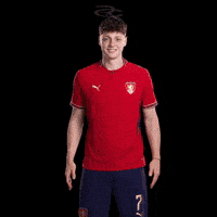 Fifa World Cup Uefa GIF by Respective