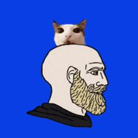 Cat Crypto GIF by Based Chad
