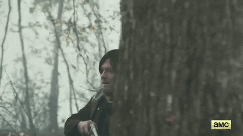 the walking dead GIF