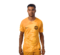 Fifaworldcup Gakpo Sticker by OnsOranje