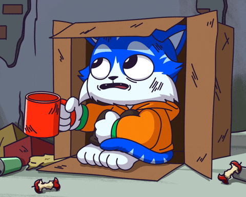 Cat Money GIF by Toshithecat