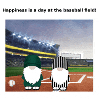 Sport Baseball GIF