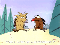 nickrewind nicksplat angry beavers GIF
