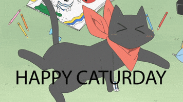 Caturday GIF by Funimation